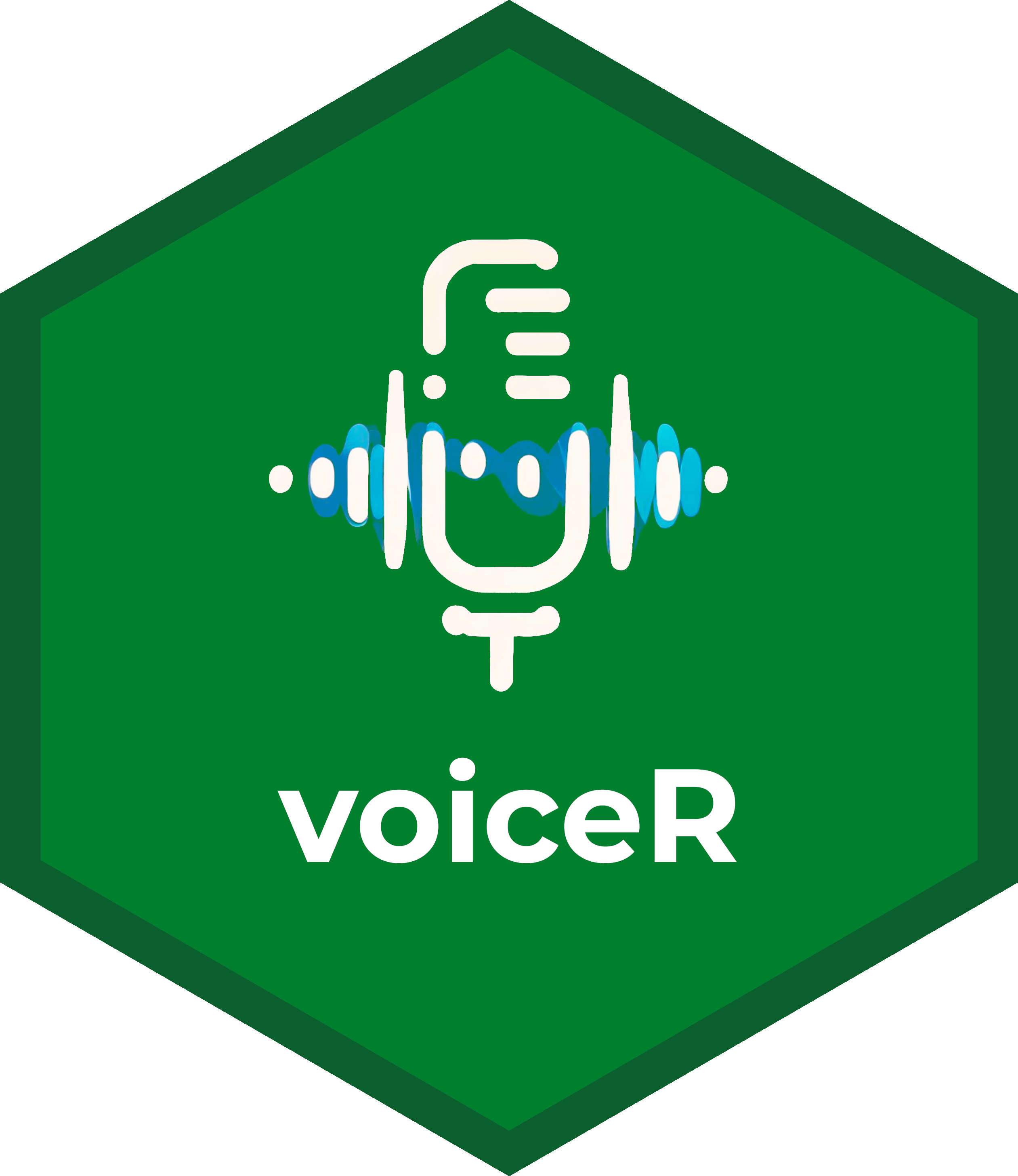 voiceR logo